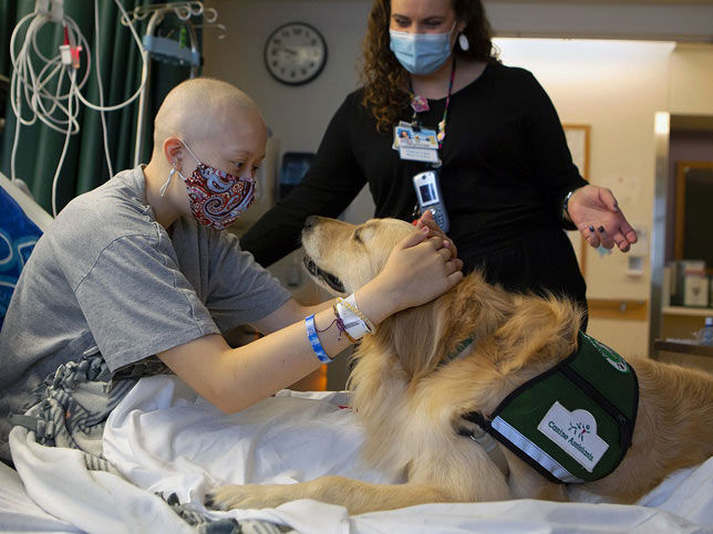 治疗犬和戴着防护口罩的病人和护士。